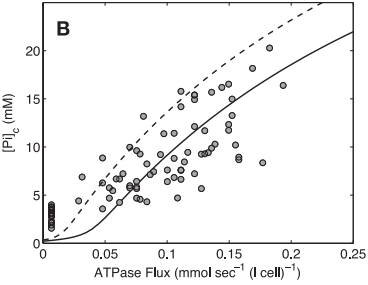Wu etal 2007 fig7b model predictions.png
