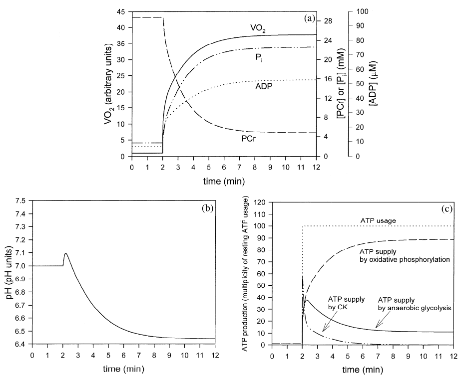Korzeniewski2004 fig3 model result mode3.png