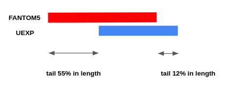 Figure 2. CAGE peak overhangs.