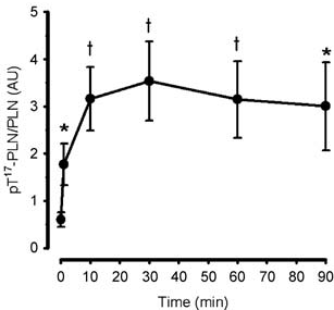 Effect of exercise duration on skeletal muscle phospholamban phosphorylation