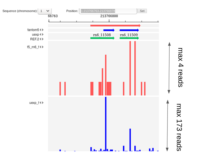 Figure 6.