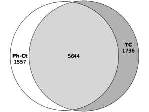 Figure 2B