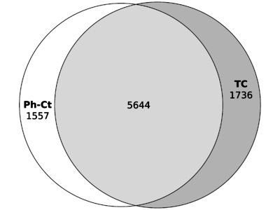 Figure 2B