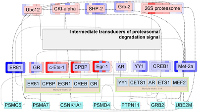 Master regulators - Figure 10