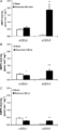 AMPK activity at rest and after exercise y3 Birk 2006.png