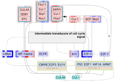 Master regulators - Figure 6