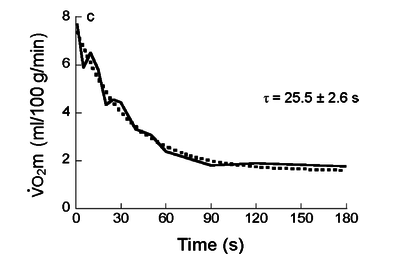 The time course of muscle VO2 recovery from contractions (i.e., muscle VO2 off-kinetics)