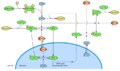Cui calcium 2008.png