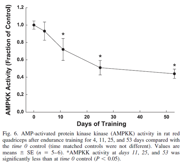 AMP-activated protein kinase kinase (AMPKK) activity in rat red quadriceps after endurance training for 4, 11, 25, and 53 days