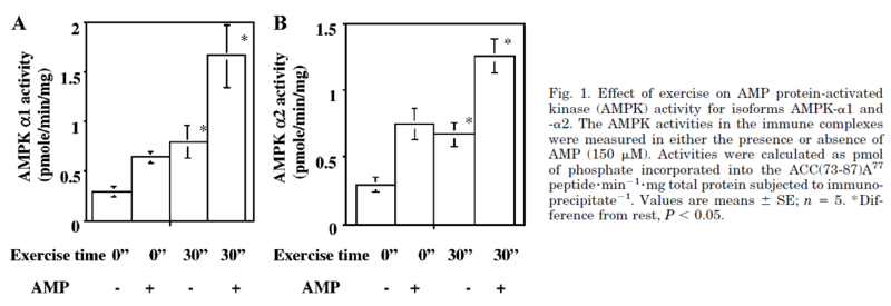 AMPK activity at rest and after 30-s sprint