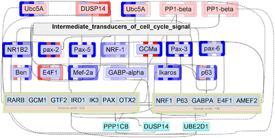 Master regulators - Figure 11