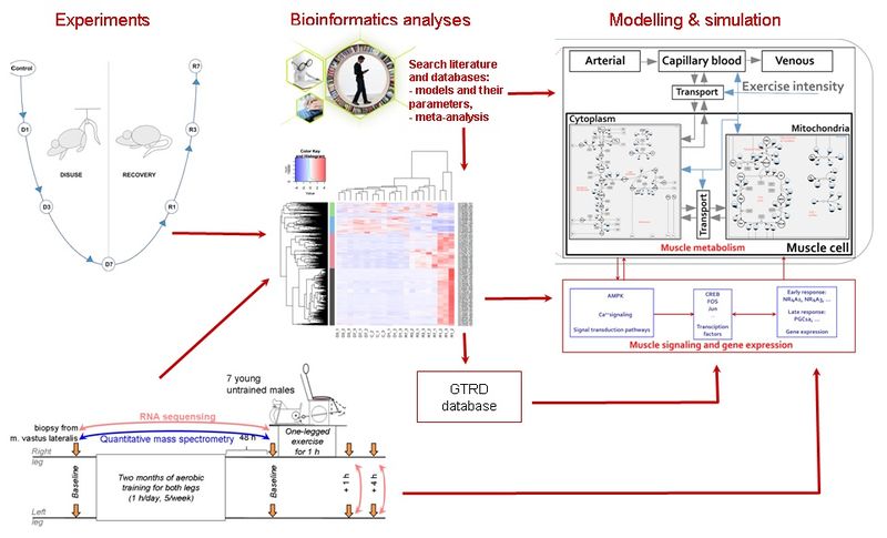 File:General scheme.jpg