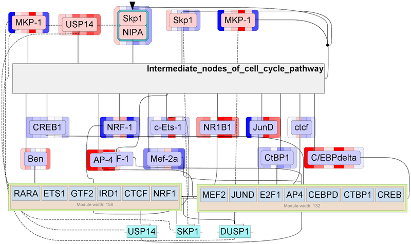 File:Master regulators - Figure8.png