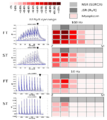 Eilers etal 2012 Fig8 edit.png