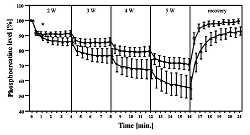 Changes in PCr concentration across time