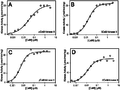 CaMKII, Gaertner 2004, Dependence of CaM-kinase II activity on CaM.png