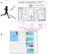 Thumbnail for version as of 17:04, 6 March 2021