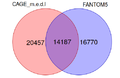 Figure1.2.png