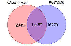 Figure 1.2