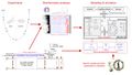 Thumbnail for version as of 13:12, 3 March 2021