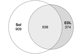 Enhancers - Figure5