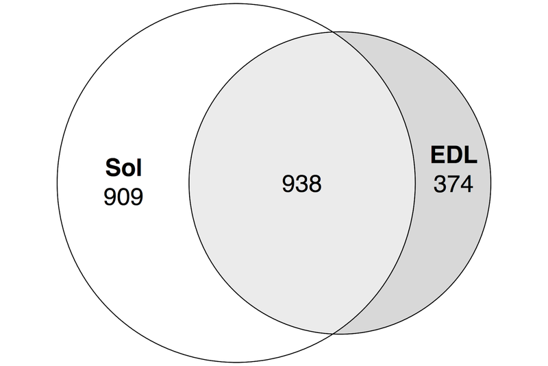 File:Enhancers - Figure5.png