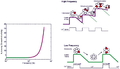 CaMKII, Hudmon 2002, Non-linear Ca2+ spike frequency-dependence in the generation of autonomous activity.png