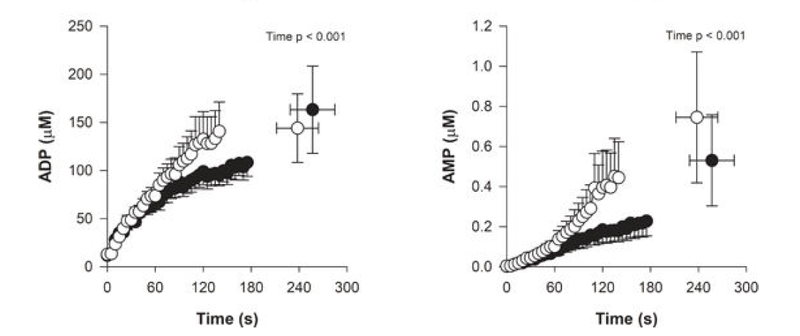 Intramuscular metabolic perturbation during high-intensity intermittent isometric single-leg knee-extensor exercise