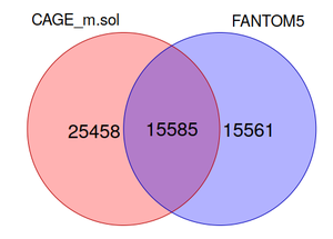 Figure 1.3