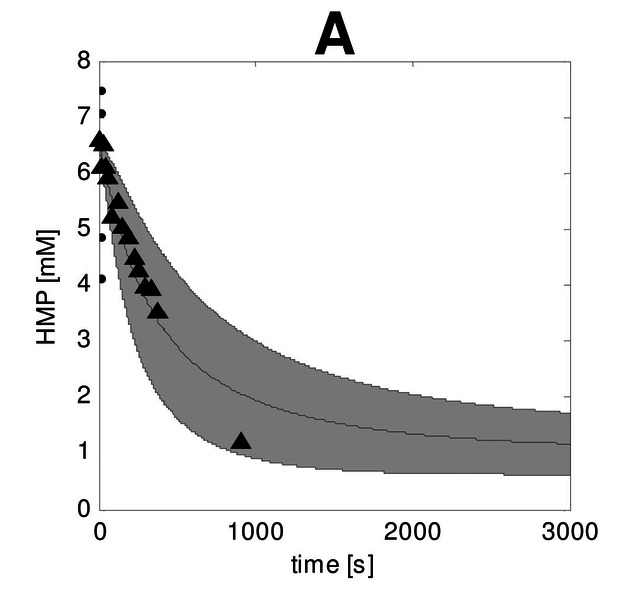 File:Schmitz 2010, Silencing of glycolysis in muscle experimental observation and numerical analysis.png