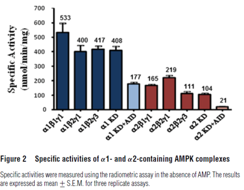 Specific activities of α1- and α2-containing AMPK complexes