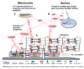 Gehlert etal 2015 Figure 1.png